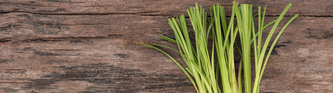 Olejek eteryczny wetiwer - 5 niezawodnych sposobów na wykorzystanie w aromaterapii