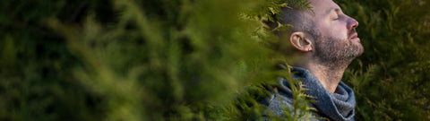 Cedrzyniec kalifornijski - rytualne kadzidło o bogatych właściwościach