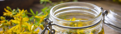 Dlaczego olejek z kocanki włoskiej jak tak popularny? 6 niesamowitych właściwości, które musisz poznać