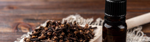 Naturalny olejek goździkowy - niezwykłe właściwości oraz zastosowanie