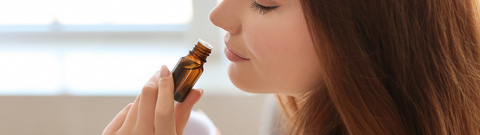 Olejek kajeputowy - jakie ma właściwości i do czego go wykorzystać?