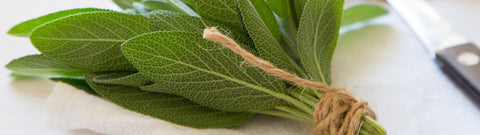 Szałwia lekarska dla zdrowia ciała i umysłu - jak stosować olejek?