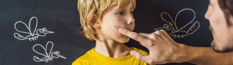 Jakie są najlepsze olejki na komary i kleszcze?