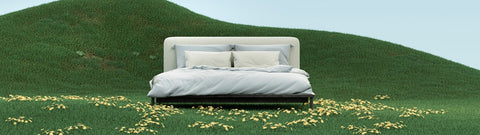 Jak wybrać najlepszy olejek eteryczny na sen?