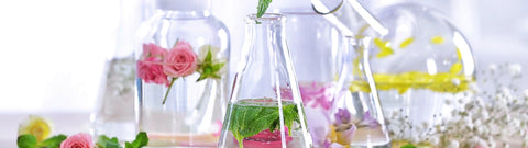 Skład olejków eterycznych - co kryje się w aromatycznych kompozycjach?