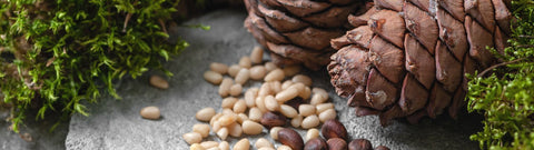 Olejek cedrowy - wszechstronna esencja na wiele dolegliwości