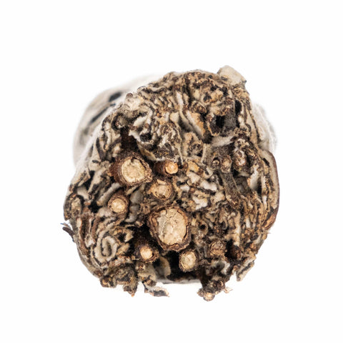 Naturalne kadzidło - Yerba Santa