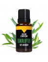 Olejek eteryczny eukaliptus - 10 ml