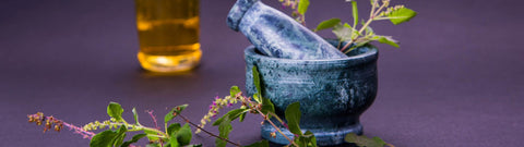 Olejek Tulsi (święta bazylia) — zapach, właściwości i zastosowanie