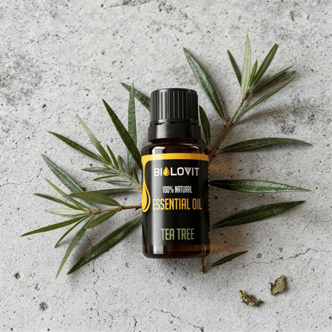 Olejki o właściwościach antybakteryjnych