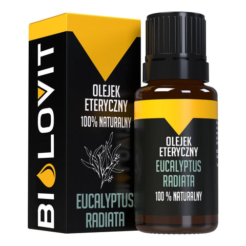 Olejek eteryczny Eucalyptus Radiata