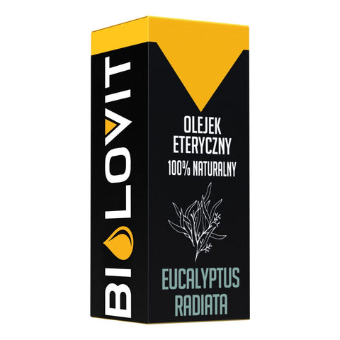 Olejek eteryczny Eucalyptus Radiata
