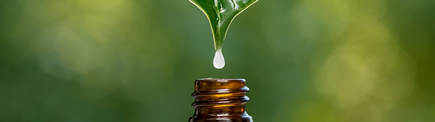 Olejek kamforowy - remedium na zatoki oraz przeziębienie