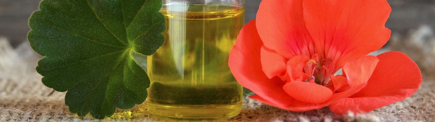 Dla ciała i zmysłów - poznaj olejek geranium